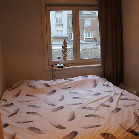 Ensorella Apartman *